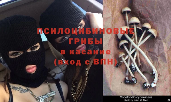 круглые Нефтекумск