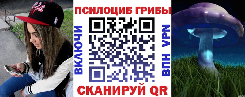 Псилоцибиновые грибы ЛСД  Купить  Ессентуки 
